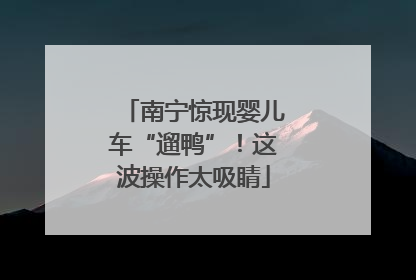 南宁惊现婴儿车“遛鸭”！这波操作太吸睛