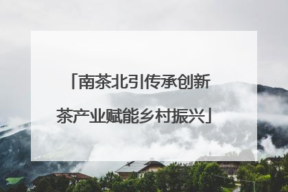 南茶北引传承创新 茶产业赋能乡村振兴