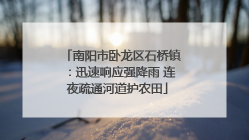 南阳市卧龙区石桥镇：迅速响应强降雨 连夜疏通河道护农田