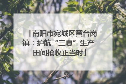 南阳市宛城区黄台岗镇：护航“三夏”生产 田间抢收正当时