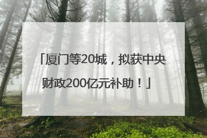 厦门等20城，拟获中央财政200亿元补助！