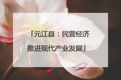 元江县：民营经济推进现代产业发展
