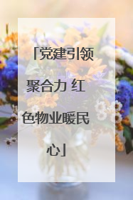 党建引领聚合力 红色物业暖民心