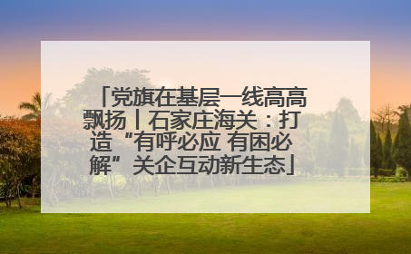 党旗在基层一线高高飘扬丨石家庄海关：打造“有呼必应 有困必解”关企互动新生态