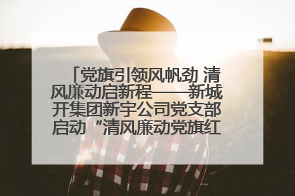 党旗引领风帆劲 清风廉动启新程——新城开集团新宇公司党支部启动“清风廉动党旗红”系列活动