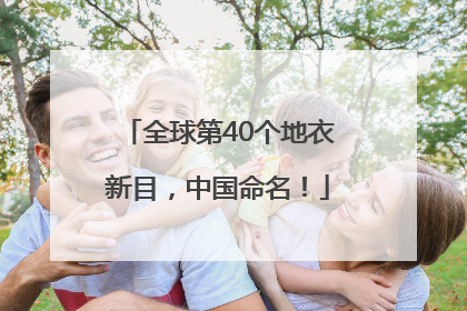 全球第40个地衣新目，中国命名！