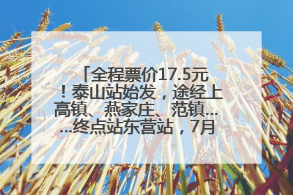 全程票价17.5元！泰山站始发，途经上高镇、燕家庄、范镇……终点站东营站，7月1日开通！