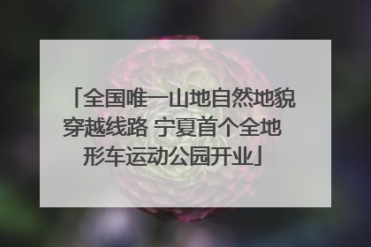全国唯一山地自然地貌穿越线路 宁夏首个全地形车运动公园开业