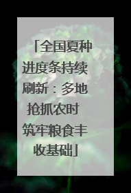 全国夏种进度条持续刷新：多地抢抓农时 筑牢粮食丰收基础