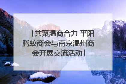 共聚温商合力 平阳腾蛟商会与南京温州商会开展交流活动