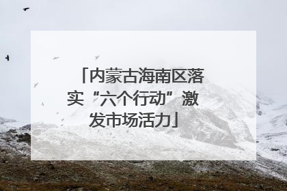 内蒙古海南区落实“六个行动”激发市场活力