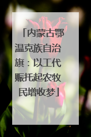 内蒙古鄂温克族自治旗：以工代赈托起农牧民增收梦