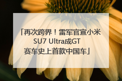 再次跨界！雷军官宣小米SU7 Ultra成GT赛车史上首款中国车