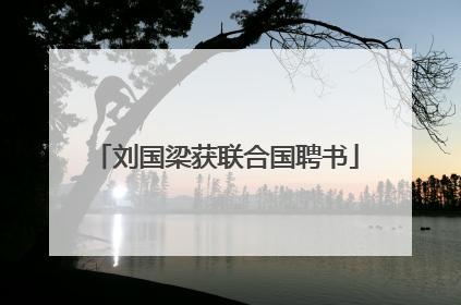 刘国梁获联合国聘书