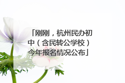 刚刚，杭州民办初中（含民转公学校）今年报名情况公布