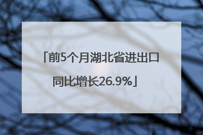 前5个月湖北省进出口同比增长26.9%
