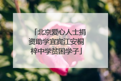 北京爱心人士捐资助学宜宾江安桐梓中学贫困学子