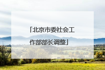 北京市委社会工作部部长调整
