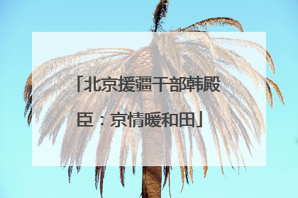 北京援疆干部韩殿臣：京情暖和田