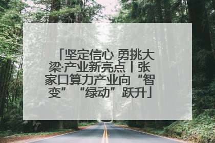 坚定信心 勇挑大梁·产业新亮点丨张家口算力产业向“智变”“绿动”跃升