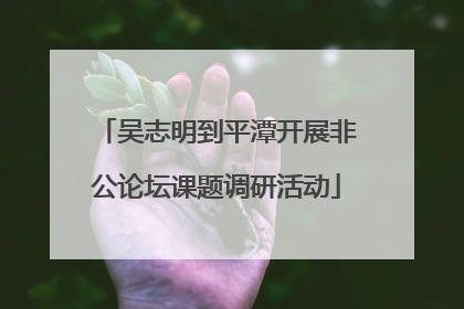 吴志明到平潭开展非公论坛课题调研活动