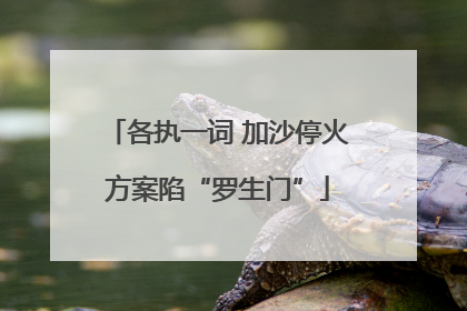 各执一词 加沙停火方案陷“罗生门”