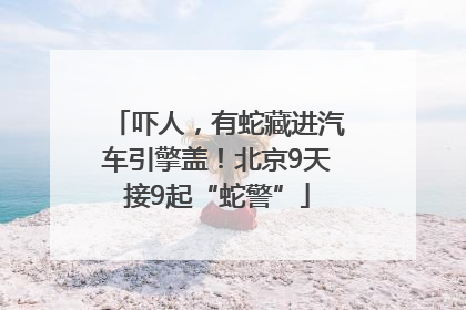 吓人，有蛇藏进汽车引擎盖！北京9天接9起“蛇警”