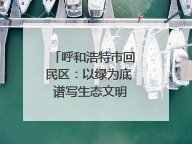 呼和浩特市回民区：以绿为底 谱写生态文明建设新篇章
