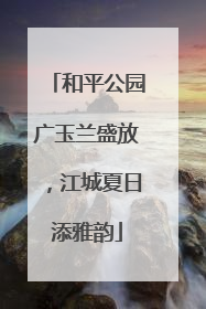 和平公园广玉兰盛放，江城夏日添雅韵