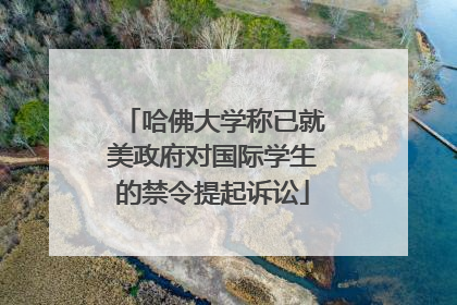 哈佛大学称已就美政府对国际学生的禁令提起诉讼