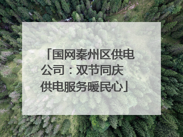 国网秦州区供电公司：双节同庆 供电服务暖民心