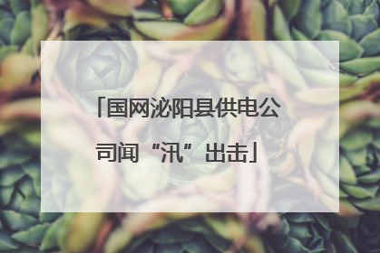 国网泌阳县供电公司闻“汛”出击