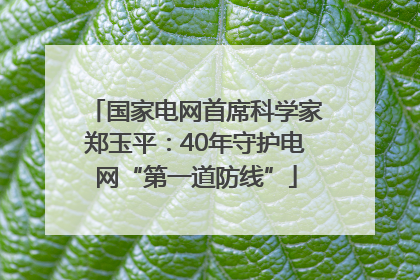 国家电网首席科学家郑玉平：40年守护电网“第一道防线”