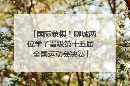 国际象棋！聊城两位学子晋级第十五届全国运动会决赛