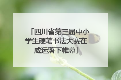 四川省第三届中小学生硬笔书法大赛在威远落下帷幕