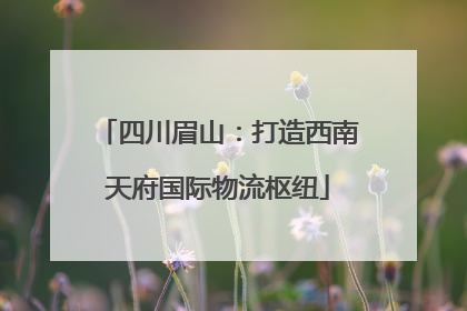 四川眉山：打造西南天府国际物流枢纽