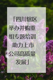 四川辖区举办并购重组专题培训 助力上市公司高质量发展