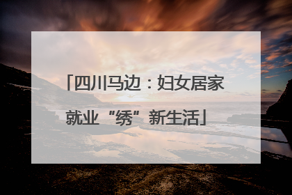 四川马边：妇女居家就业“绣”新生活