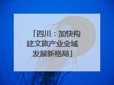 四川：加快构建文旅产业全域发展新格局