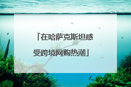 在哈萨克斯坦感受跨境网购热潮