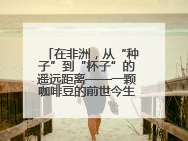 在非洲，从“种子”到“杯子”的遥远距离——一颗咖啡豆的前世今生（三）