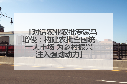 对话农业农批专家马增俊：构建农批全国统一大市场 为乡村振兴注入强劲动力