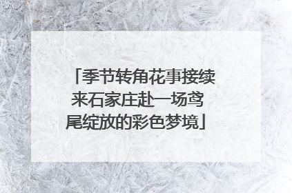 季节转角花事接续 来石家庄赴一场鸢尾绽放的彩色梦境