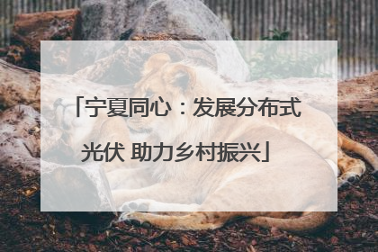 宁夏同心：发展分布式光伏 助力乡村振兴