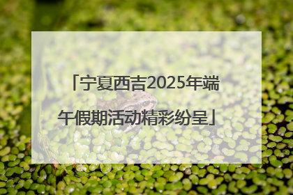 宁夏西吉2025年端午假期活动精彩纷呈