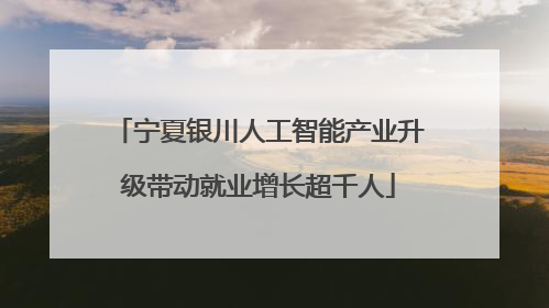 宁夏银川人工智能产业升级带动就业增长超千人