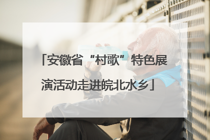 安徽省“村歌”特色展演活动走进皖北水乡