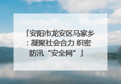 安阳市龙安区马家乡：凝聚社会合力 织密防汛“安全网”