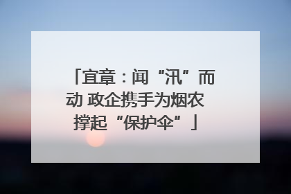 宜章：闻“汛”而动 政企携手为烟农撑起“保护伞”
