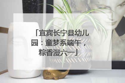 宜宾长宁县幼儿园：童梦系端午，粽香漫六一